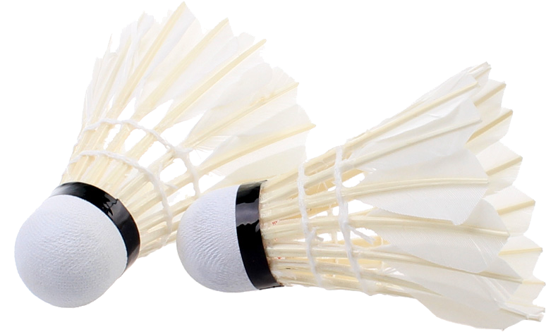 Specifications Of Dhs 402a Goose Feather Training Badminton - Badminton (855x565), Png Download