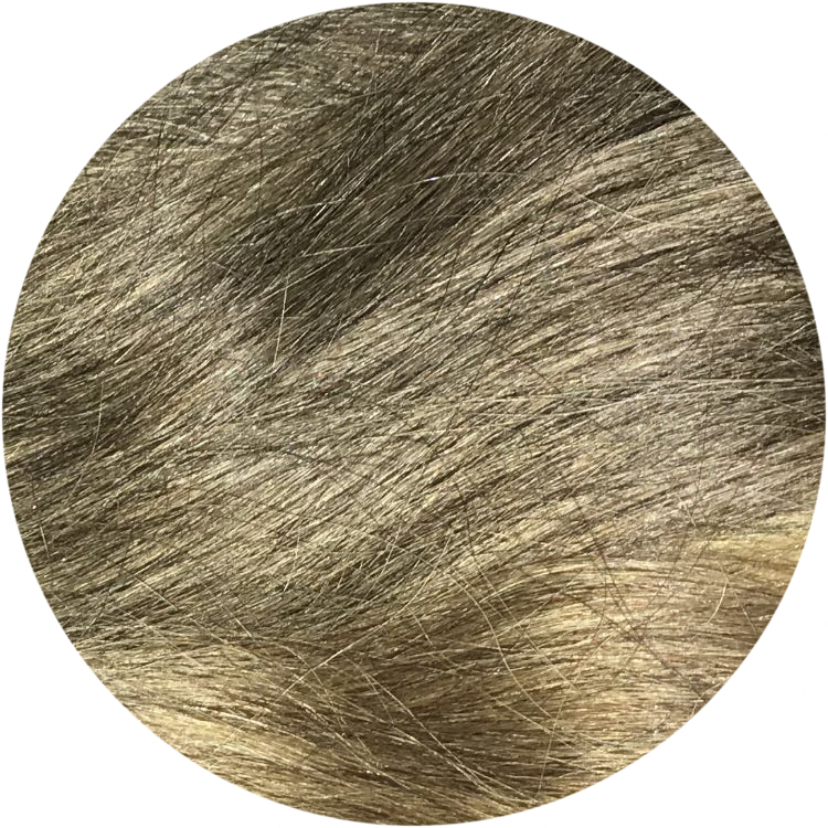 The (750x750), Png Download