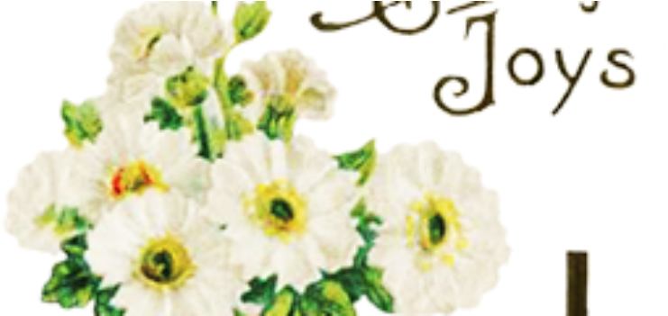 Easter Flowers Can Be Ordered To Beautify Our Sanctuary - Needlework (960x350), Png Download
