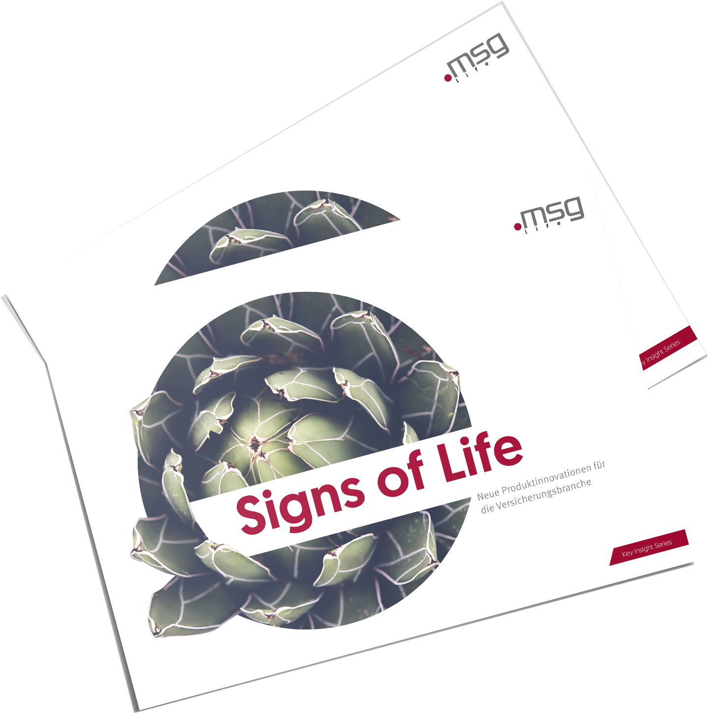 Signs Of Life Boxshot 2 - Cor&fja (1500x1500), Png Download