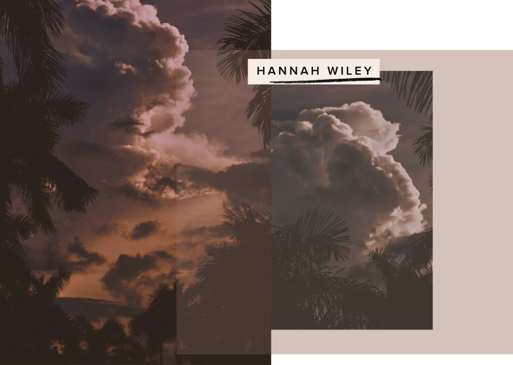 Kaurspace 02 Header Hannah - Attalea Speciosa (1000x711), Png Download