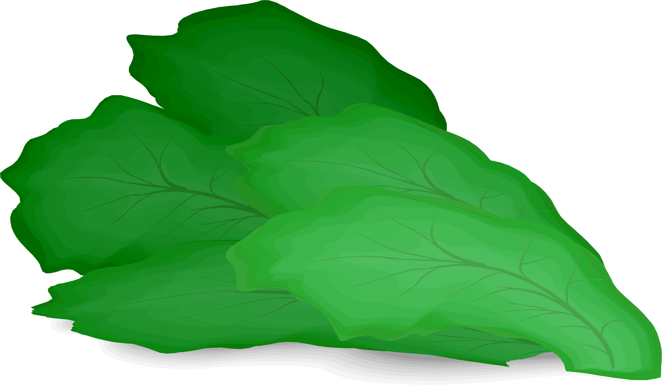 Graphic Library Download Romaine Hamburger Salad Vegetable - Lettuce Clipart (1289x750), Png Download