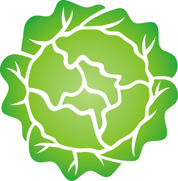 How To Set Use Head Of Lettuce Clipart (588x598), Png Download