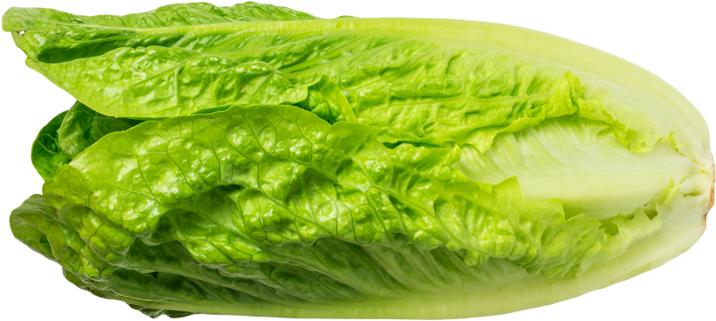 Lettuce - Vegetable (866x650), Png Download