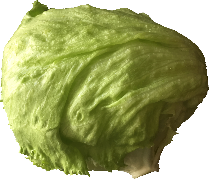 Medium Image - Clipart Image Of Lettuce (800x685), Png Download