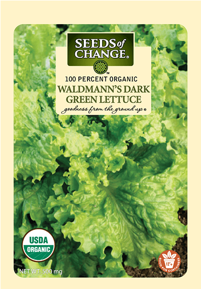 Organic Waldmann's Dark Green Lettuce Seeds - Seeds Of Change Garden Supply. Dark Green Lettuce Walmann's (573x573), Png Download