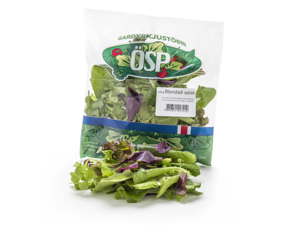 Lettuce Clipart Romaine Lettuce Vegetarian Cuisine - Salah (900x720), Png Download