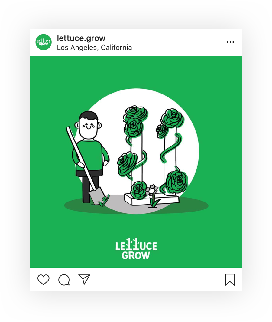 Lettuce Grow - Portable Network Graphics (900x1064), Png Download