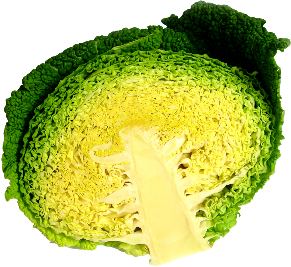 Cabbage Half Png Image - Portable Network Graphics (1126x1018), Png Download