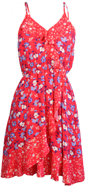 Poppy Floral Dress Dresses Lou Lou Boutiques - Dress (500x739), Png Download