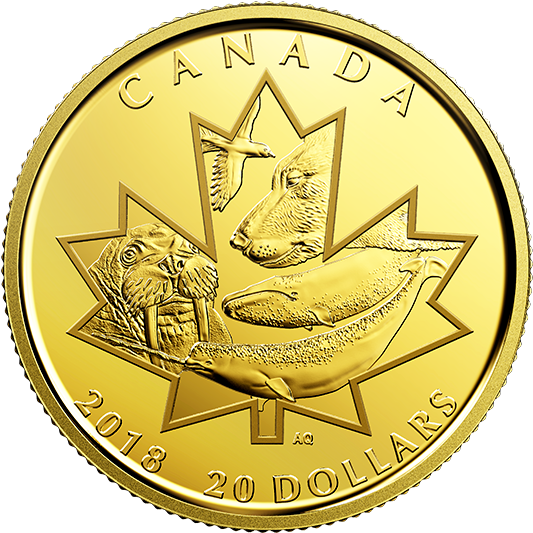 Pure Gold Coin - Coin (570x570), Png Download