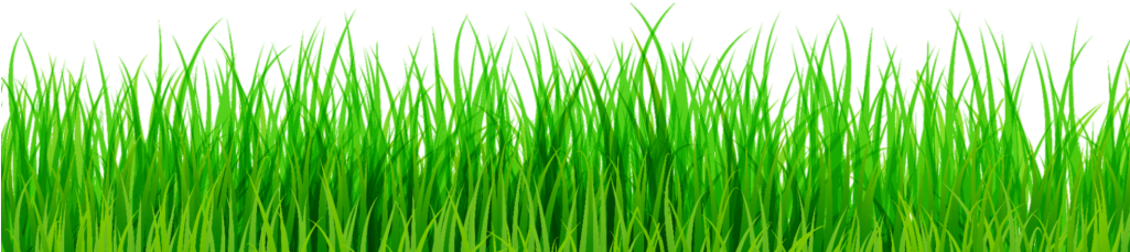 Picsart Nature Cb Editing - Grass Png (1024x256), Png Download