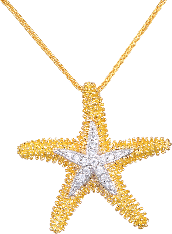 2015 04 25 14 01 06 Dw Upss22d - Star Fish Pendant (1024x768), Png Download