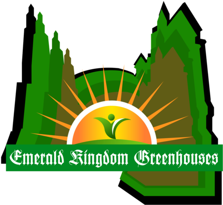 True Norwegian Black Metal: Live In Grieghallen (500x478), Png Download