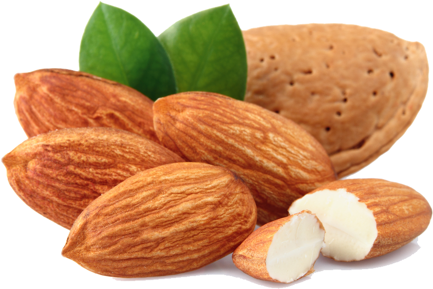 Almond Free Download Png - Dry Fruit Clip Art (1000x800), Png Download