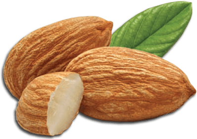 Nuts - Almond Png Transparent (400x300), Png Download