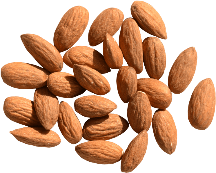 Free Png Almond Png Images Transparent - Almond Png (850x704), Png Download