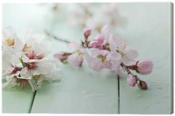 Cherry Blossom Color Palette (400x400), Png Download