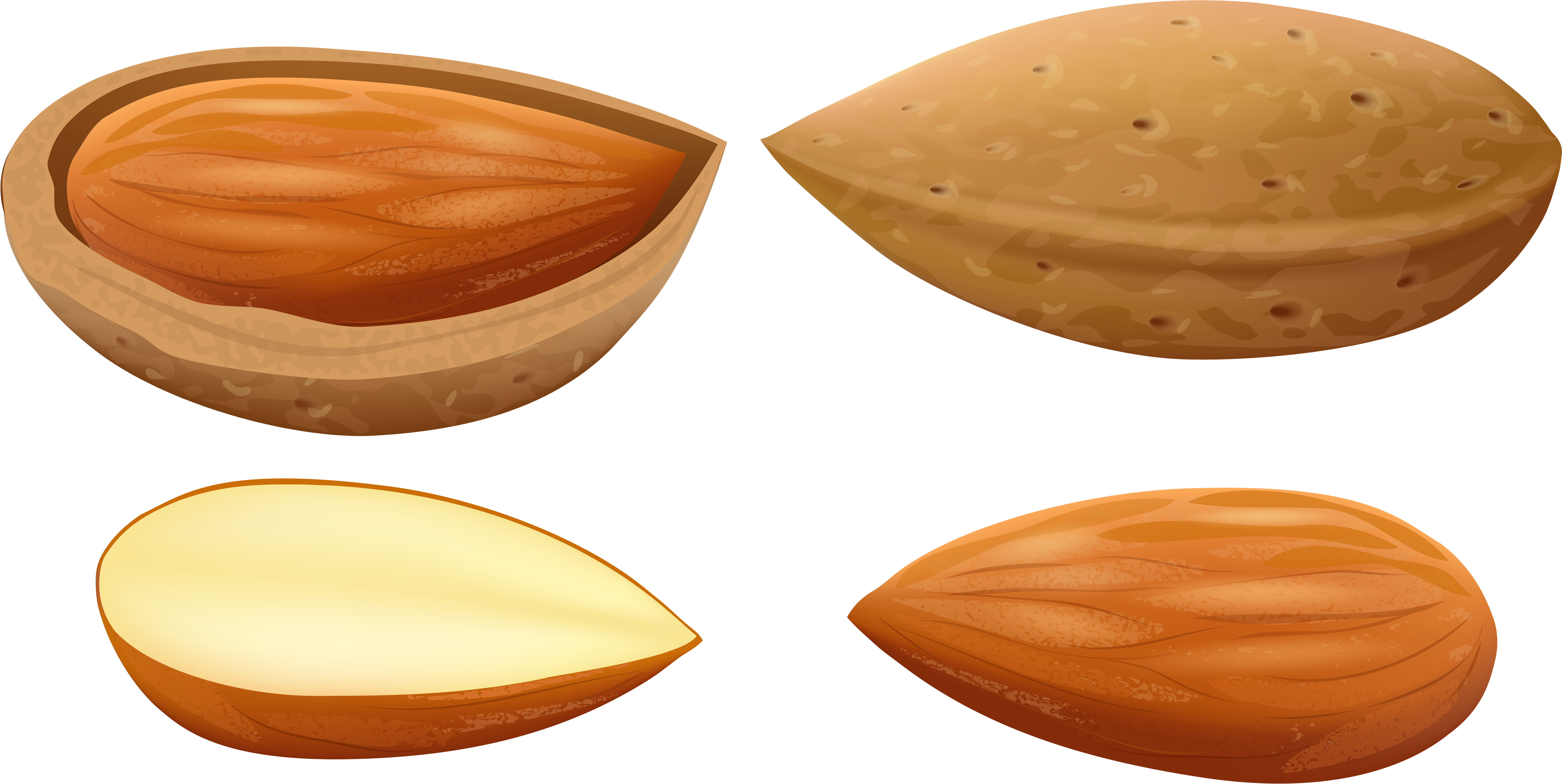 Almonds Png Clip Art - Almonds Clipart (6132x3118), Png Download