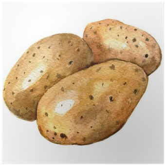 Pommes De Terre En Aquarelle (400x400), Png Download