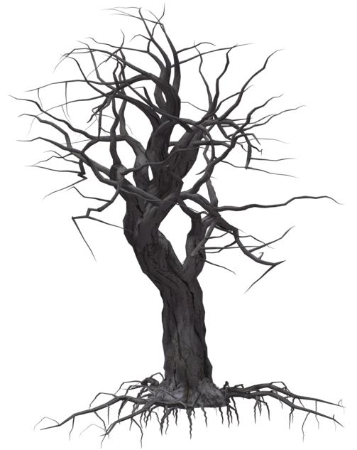 Creepy Tree 05 By Wolverine041269 On Clipart Library - Creepy Tree Transparent (1024x639), Png Download