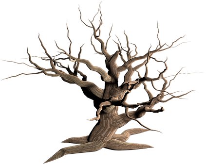 Tree Isolated Dead Plant Weathered Old Mor - Dry Tree Png (423x340), Png Download