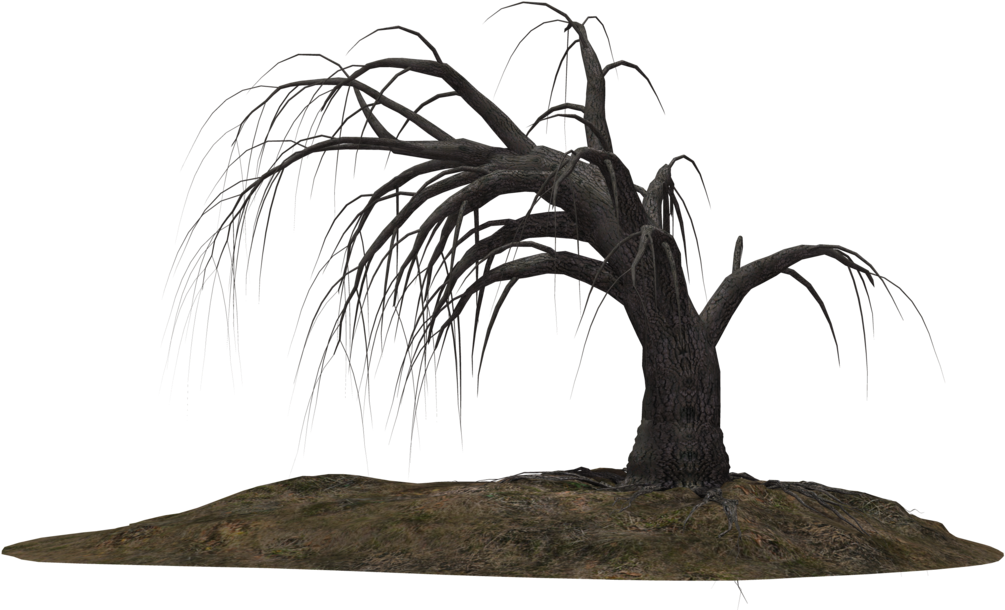 Creepy Tree 19 By Wolverine041269 On Clipart Library - Dead Trees Png (1024x639), Png Download
