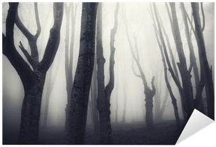 Old Twisted Trees In A Spooky Dark Forest Sticker • - Forest (400x400), Png Download