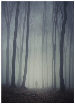 Man Walking On Path Through Spooky Dark Forest Poster - Still Life (400x400), Png Download