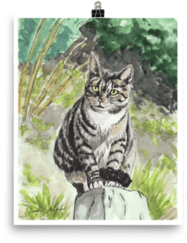 00 $28 - Tabby Cat (500x500), Png Download