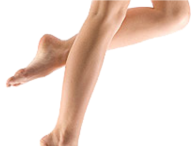 Legs Png Transparent Images - Legs (640x480), Png Download