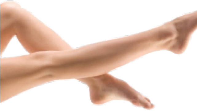 Legs Png Background Image - Legs (640x480), Png Download