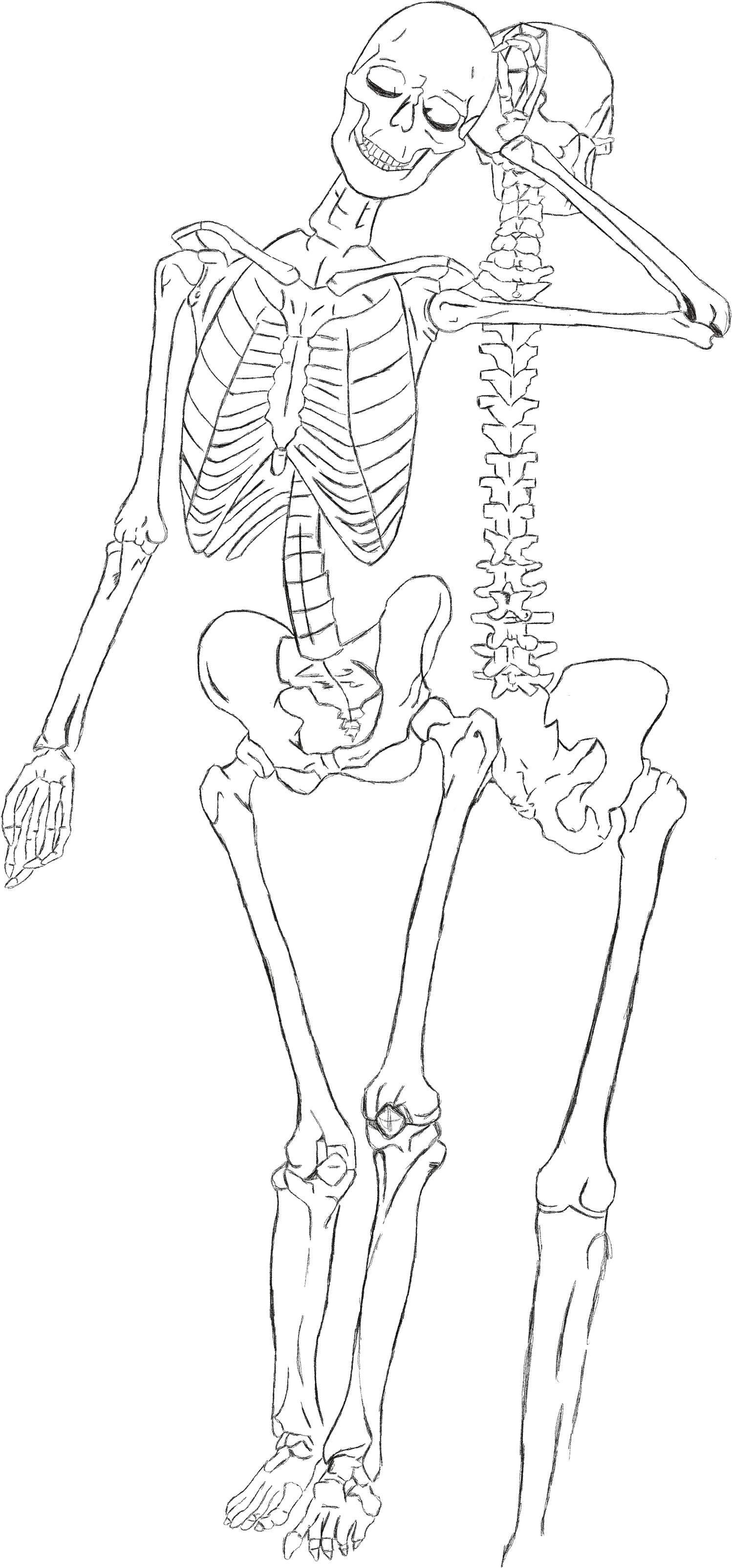 Finger Human Leg Muscle Sketch - Line Art (2482x3508), Png Download