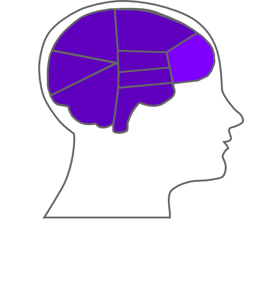 How To Set Use Head And Brain Outline Svg Vector (516x597), Png Download