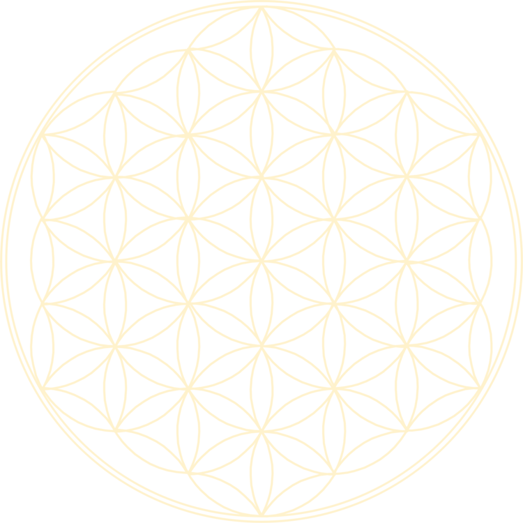 Symmetry Line Point - Flower Of Life (750x750), Png Download