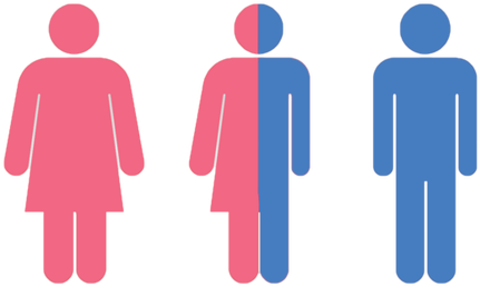 Gender Png Transparent Image - Estructura De La Poblacion (630x315), Png Download