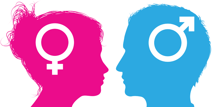 Gender Transparent Background - Gender Role (700x359), Png Download