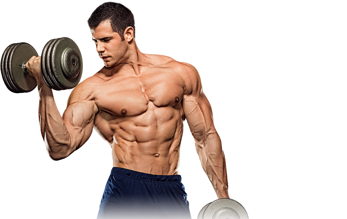 Muscle Png Images All - Weight Training (1200x800), Png Download