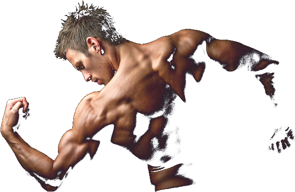Bodybuilder - Body Building Logo Png (647x413), Png Download