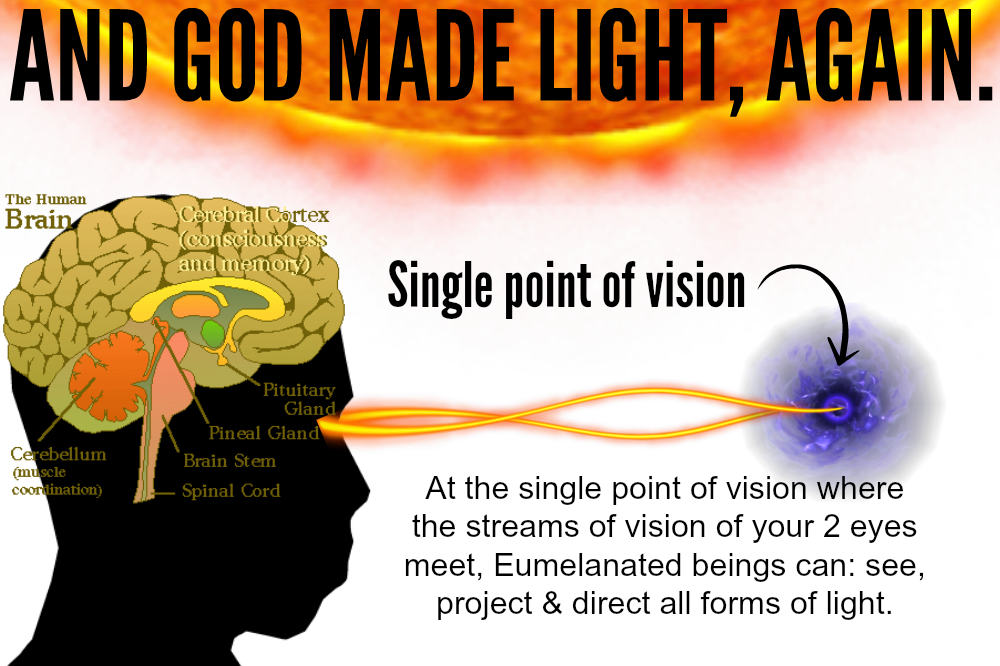 Uni-and God Made Light Again - Teaching Mcqs In Neuroscience (1000x666), Png Download