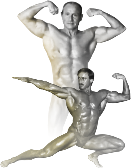 Bodybuilders - Portable Network Graphics (500x641), Png Download