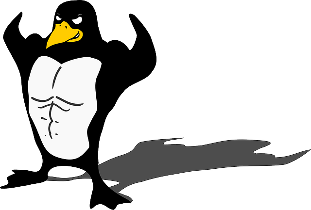 Penguin, Bodybuilder, Linux, Muscle, Tux, Animal, Funny - Bodybuilder Penguin (640x433), Png Download