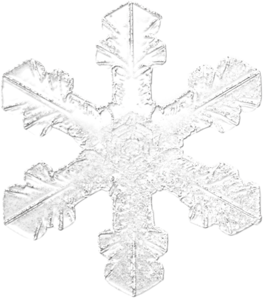 Ice Crystal Frozen Snowflakefreetoedit - Schneekristall (1024x1068), Png Download