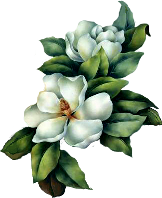 Magnolia - White Magnolia Flower Painting (324x412), Png Download