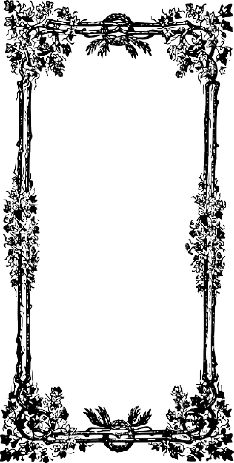 Mb Image/png - Ornate Frame Png (800x1580), Png Download