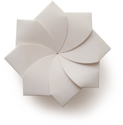 Magnolia (500x500), Png Download