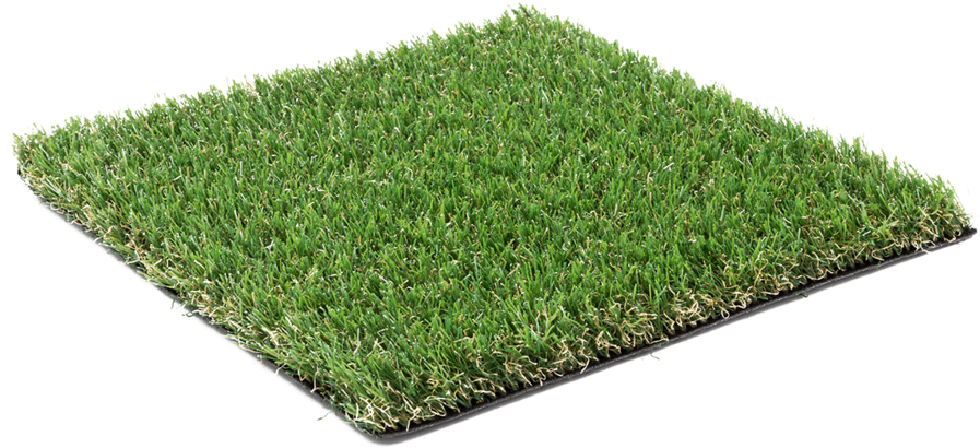 Magnolia Dragon - Supreme Grass (1000x563), Png Download