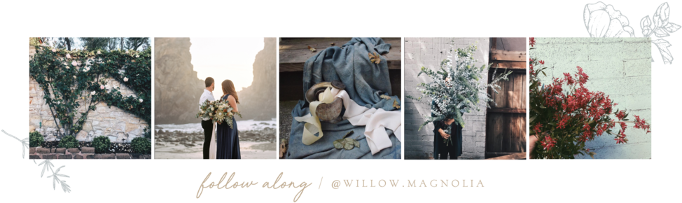 Willow & Magnolia Ig Follow-10 - Instagram (1000x296), Png Download
