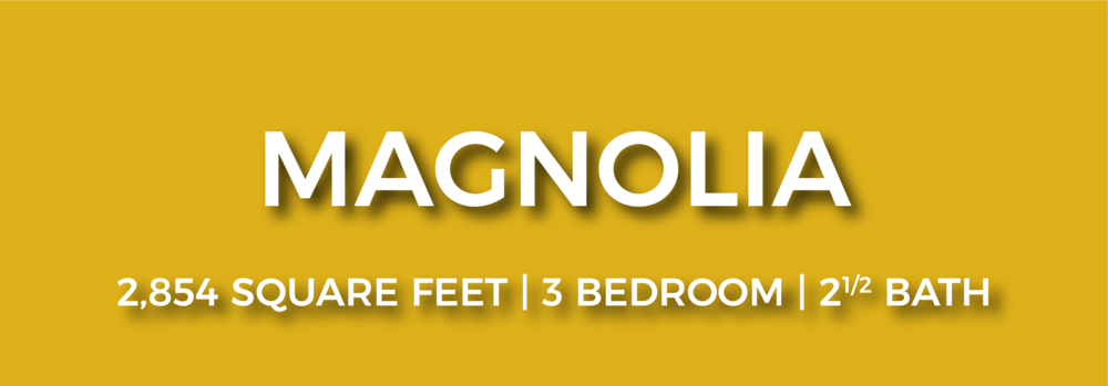 Magnolia Nofp-01 - Graphic Design (1000x349), Png Download