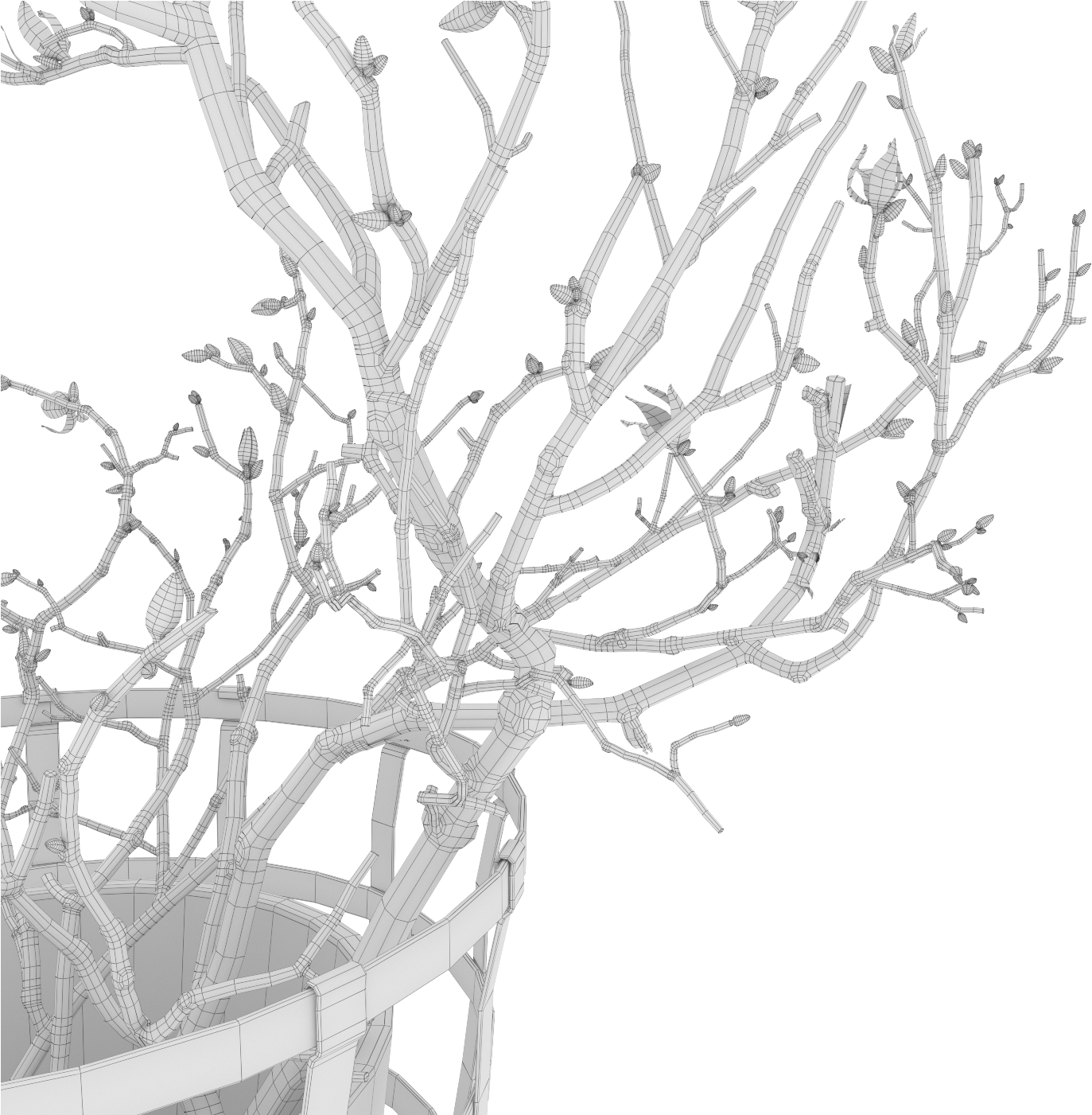 Magnolia 05 - Drawing (1400x1400), Png Download